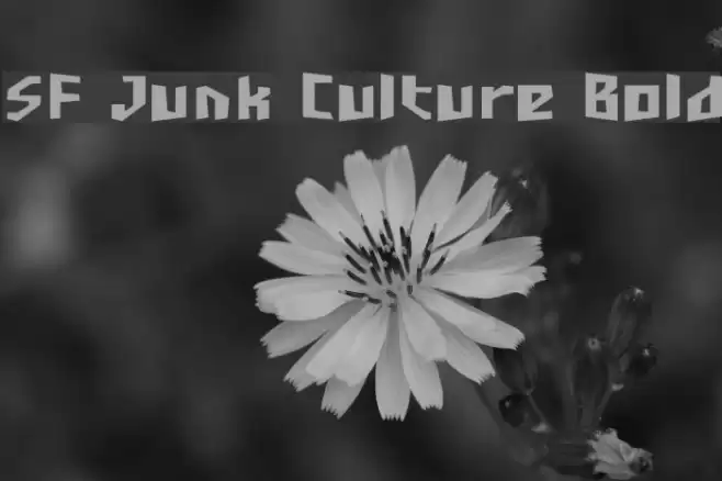 SF Junk Culture Bold Fuentes examples