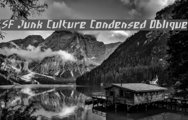 SF Junk Culture Condensed Oblique Font examples