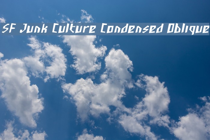SF Junk Culture Condensed Oblique Font examples