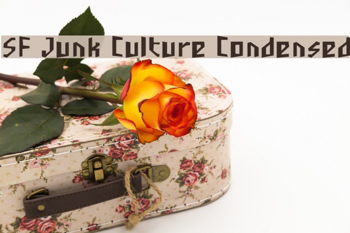 SF Junk Culture Condensed Font examples
