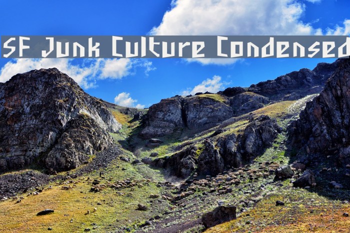 SF Junk Culture Condensed Font examples