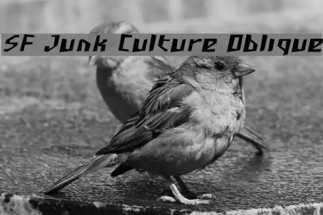 SF Junk Culture Oblique Font examples