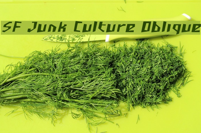 SF Junk Culture Oblique Font examples