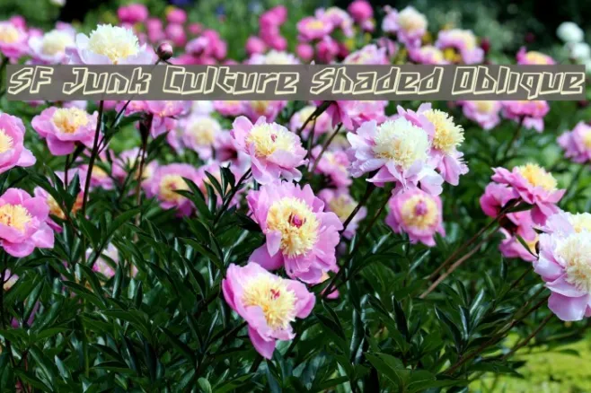 SF Junk Culture Shaded Oblique Example 2