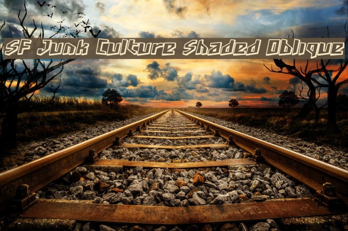 SF Junk Culture Shaded Oblique Font examples