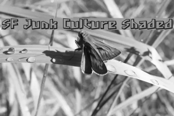 SF Junk Culture Shaded Font examples