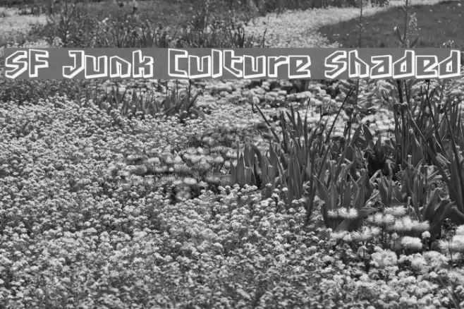 SF Junk Culture Shaded Font examples