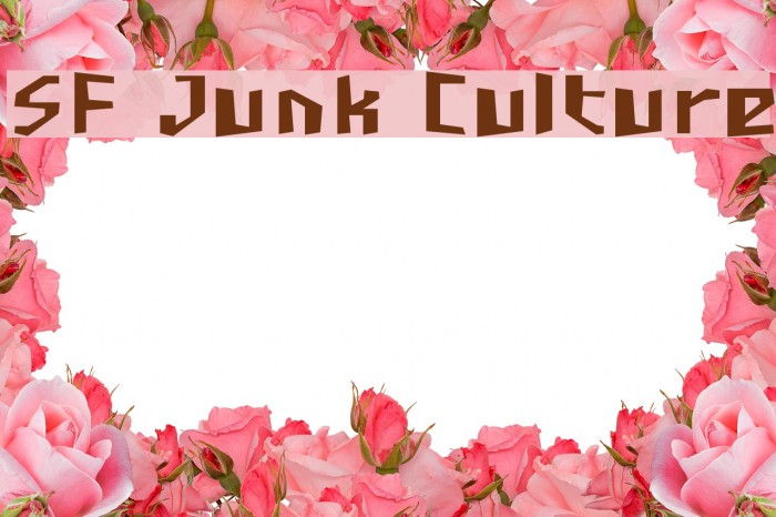 SF Junk Culture Font examples