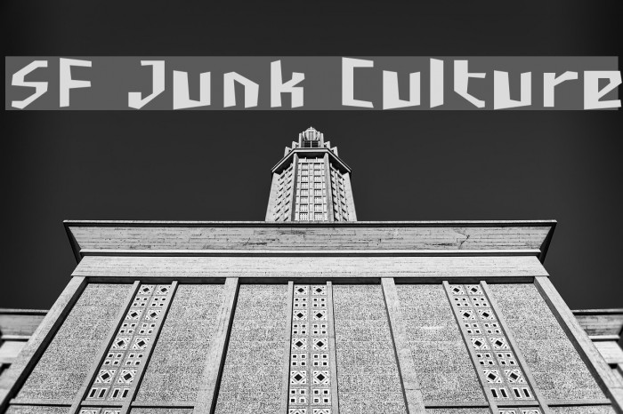 SF Junk Culture Font examples