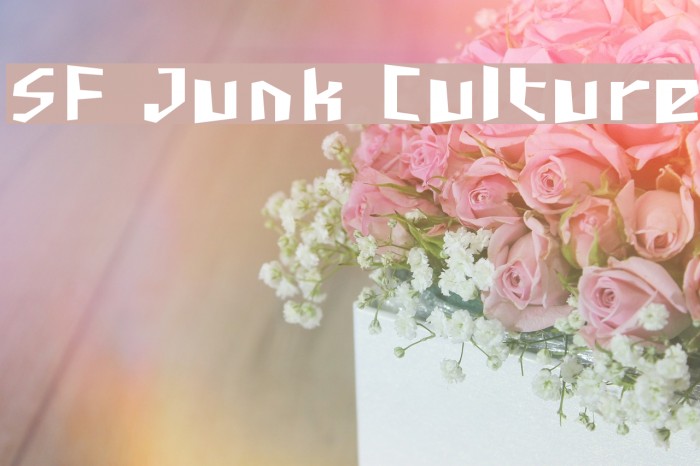 SF Junk Culture Font examples