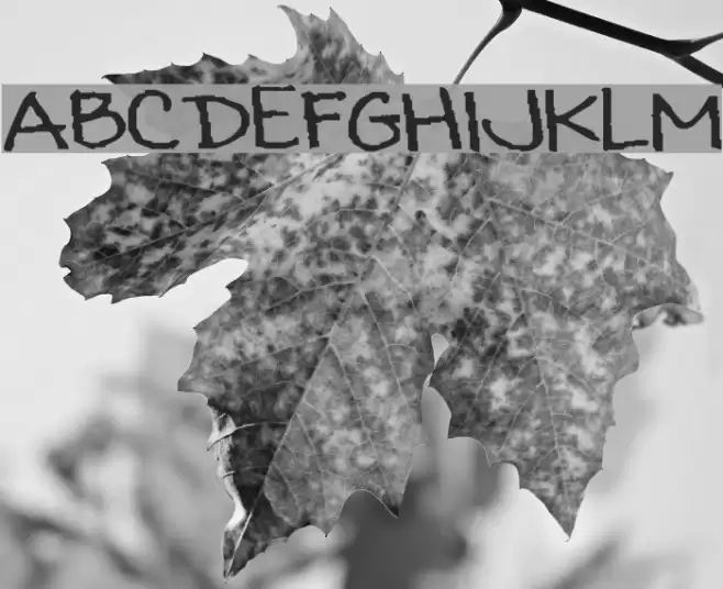 SF-Kats Font examples