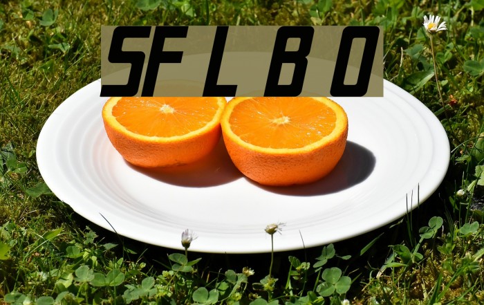SF Laundromatic Bold Oblique Font examples