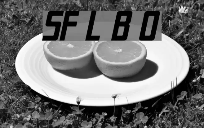 SF Laundromatic Bold Oblique フォント examples