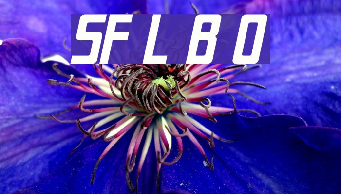 SF Laundromatic Bold Oblique Font examples
