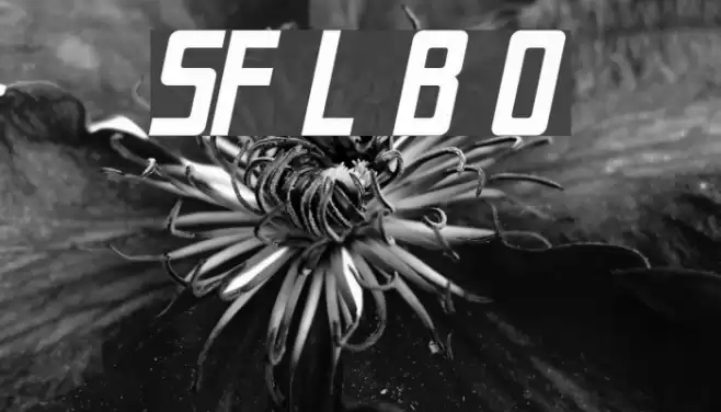 SF Laundromatic Bold Oblique フォント examples