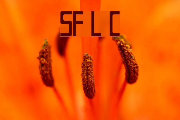 SF Laundromatic Condensed Font examples