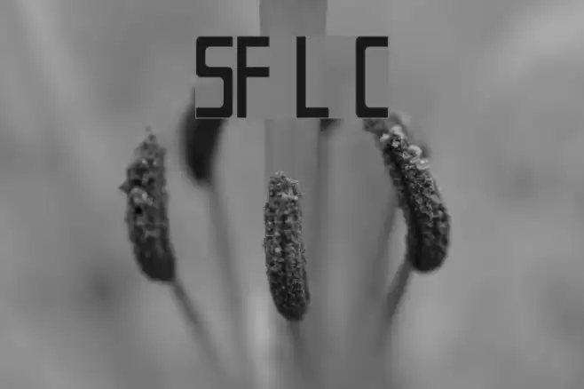 SF Laundromatic Condensed Font examples