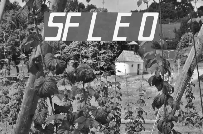 SF Laundromatic Extended Oblique Font examples