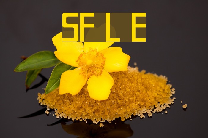 SF Laundromatic Extended Font examples