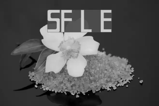 SF Laundromatic Extended Fonte examples