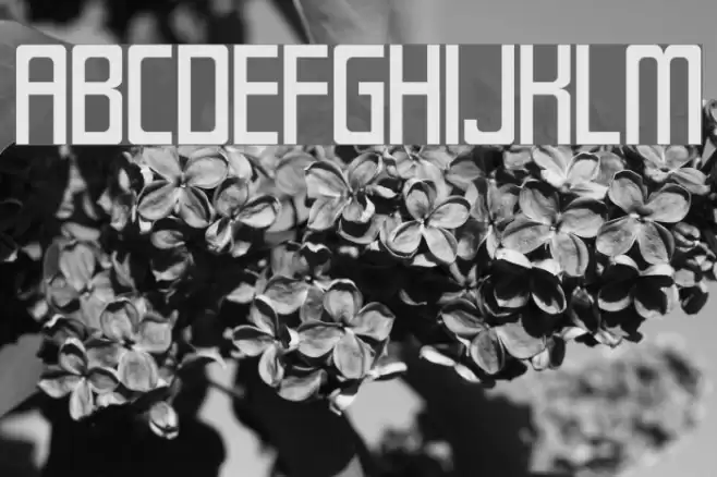 SF Laundromatic Шрифта examples