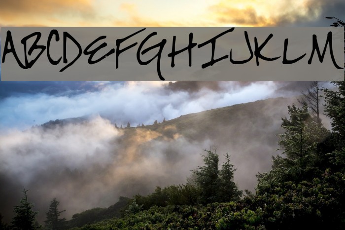SF-Lea Font examples