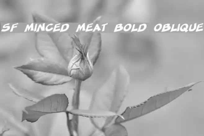SF Minced Meat Bold Oblique Шрифта examples