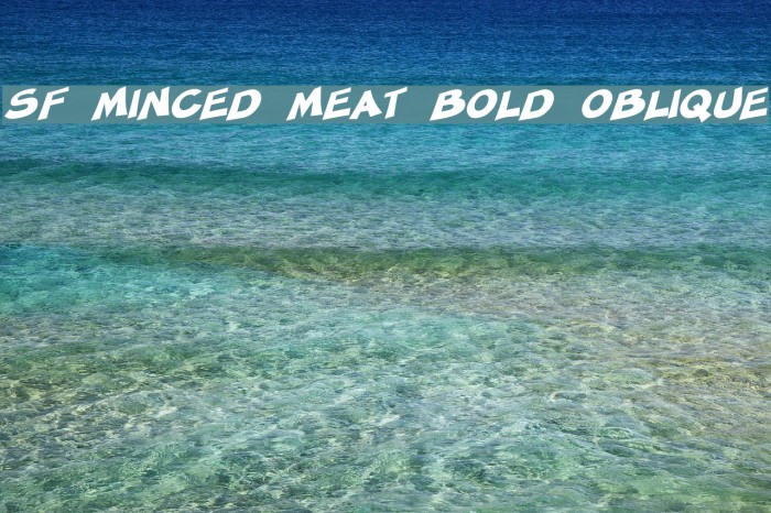 SF Minced Meat Bold Oblique Font examples