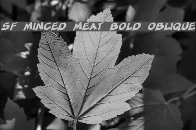 SF Minced Meat Bold Oblique Шрифта examples