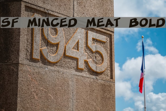 SF Minced Meat Bold Font examples