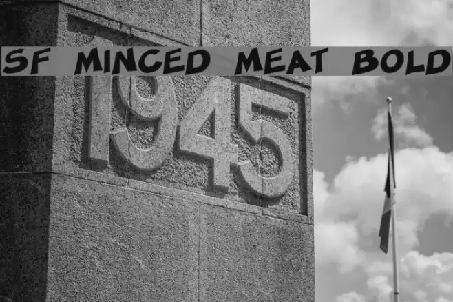 SF Minced Meat Bold Font examples