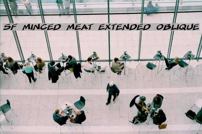 SF Minced Meat Extended Oblique Font examples