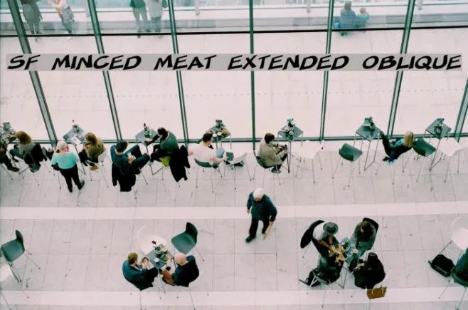 SF Minced Meat Extended Oblique Example 1