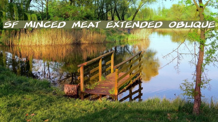 SF Minced Meat Extended Oblique Font examples