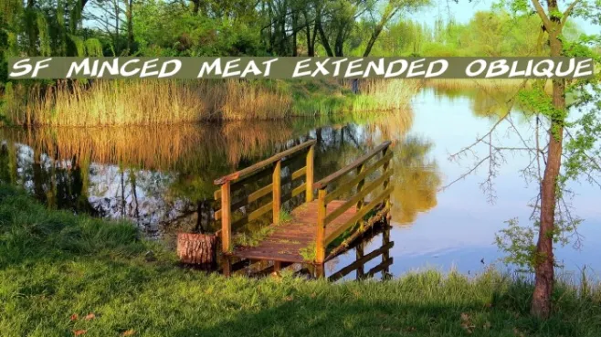 SF Minced Meat Extended Oblique Example 3