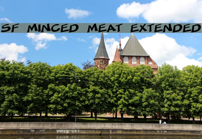 SF Minced Meat Extended Font examples