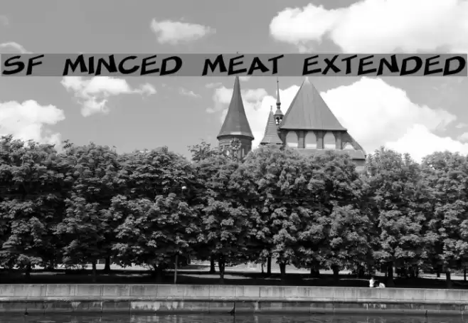SF Minced Meat Extended Шрифта examples