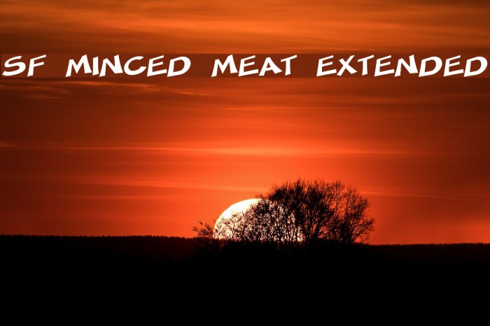 SF Minced Meat Extended Font examples