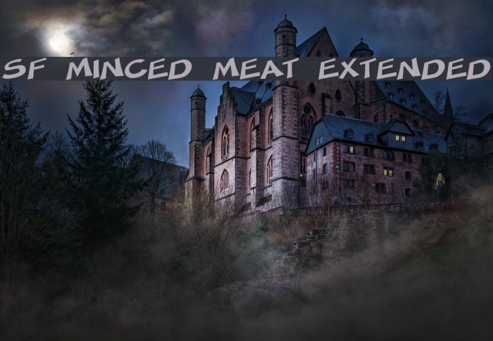 SF Minced Meat Extended Font examples