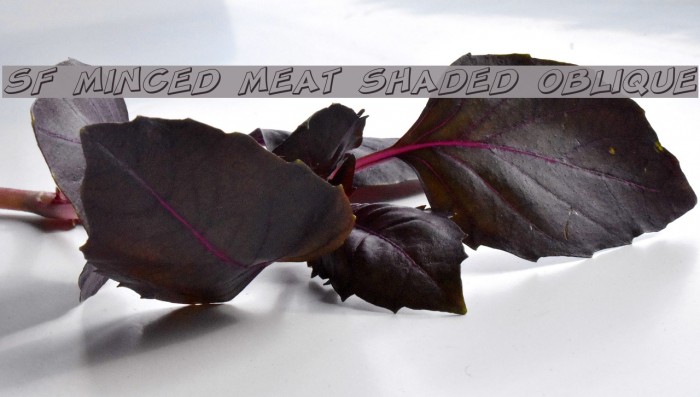 SF Minced Meat Shaded Oblique Font examples