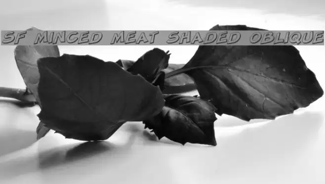 SF Minced Meat Shaded Oblique Schriftart examples