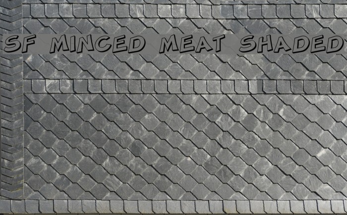 SF Minced Meat Shaded Font examples