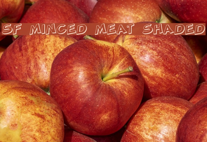 SF Minced Meat Shaded Font examples