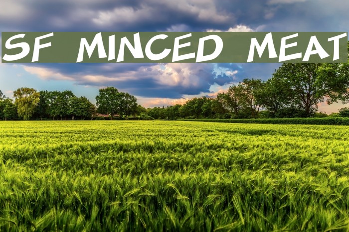 SF Minced Meat Font examples