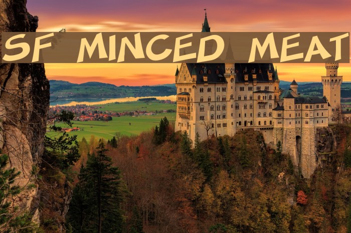 SF Minced Meat Font examples