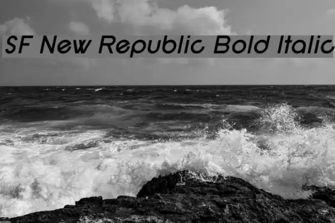 SF New Republic Bold Italic Font examples