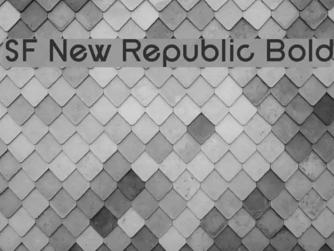 SF New Republic Bold Font examples