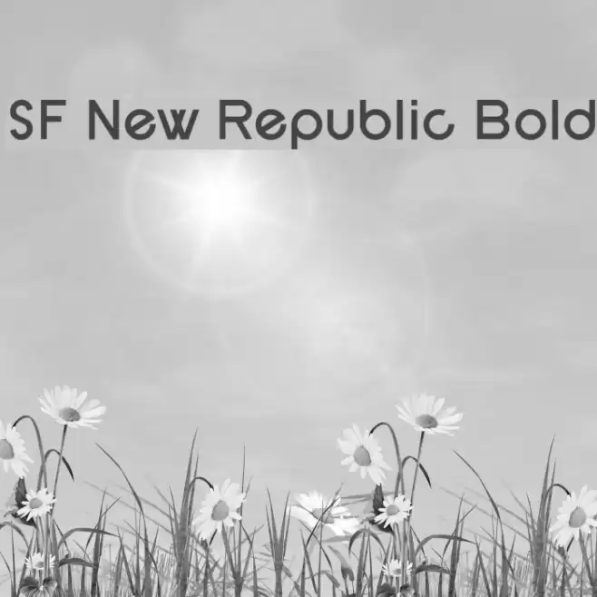 SF New Republic Bold Font examples