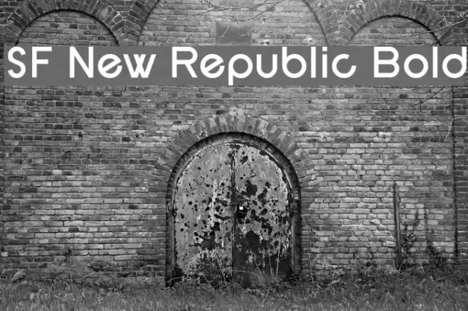 SF New Republic Bold Font examples