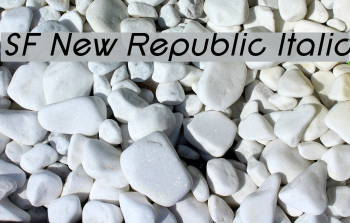 SF New Republic Italic Font examples